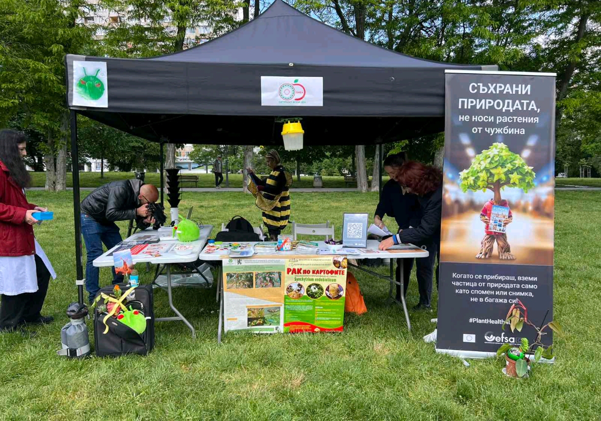 БАБХ:&nbsp; Нерегламентираният внос на растения от чужбина застрашава растителното здраве и местната екосистема